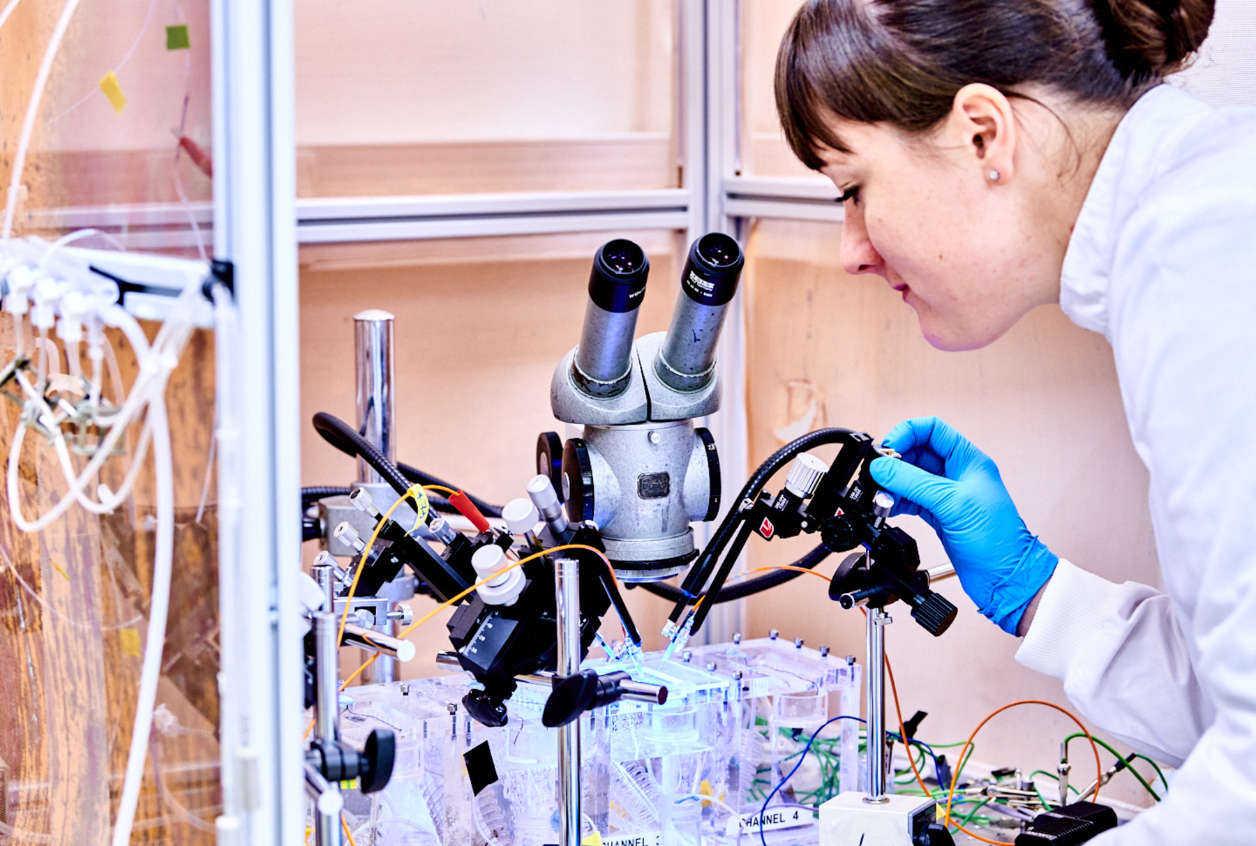 Someone looking into a microscope